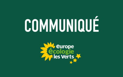 EELV attaque en justice le site internet “Europe Écologie Les Bruns”