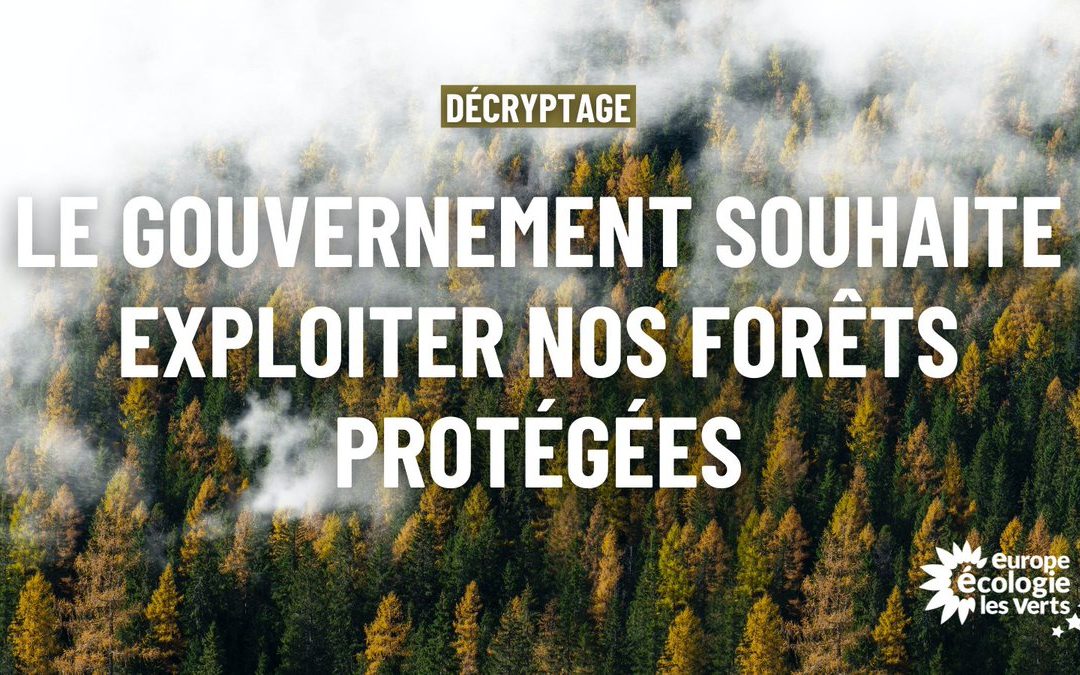 Le Gouvernement souhaite exploiter nos forêts protégées