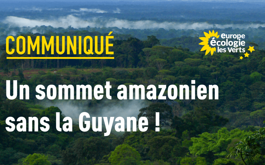 Un sommet amazonien sans la Guyane !